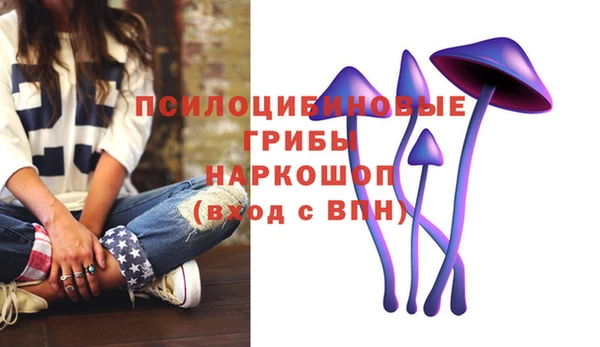Альфа ПВП Армянск