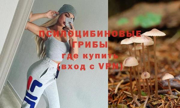 Альфа ПВП Армянск