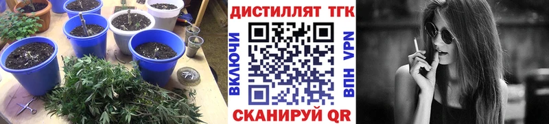 дарк нет состав  Усть-Джегута  ТГК вейп 
